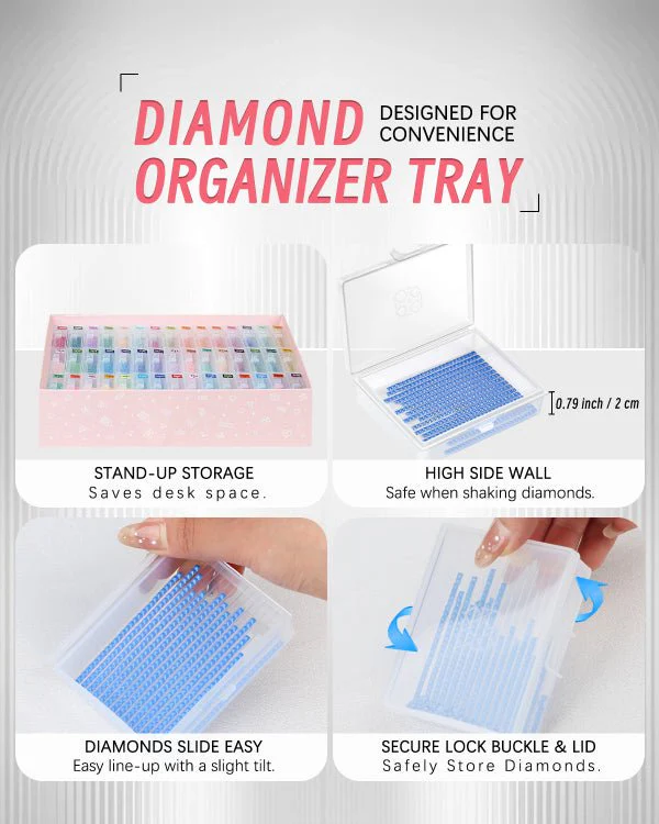 Forever Young 45pcs Containers Trays & Gift Box - Image 5