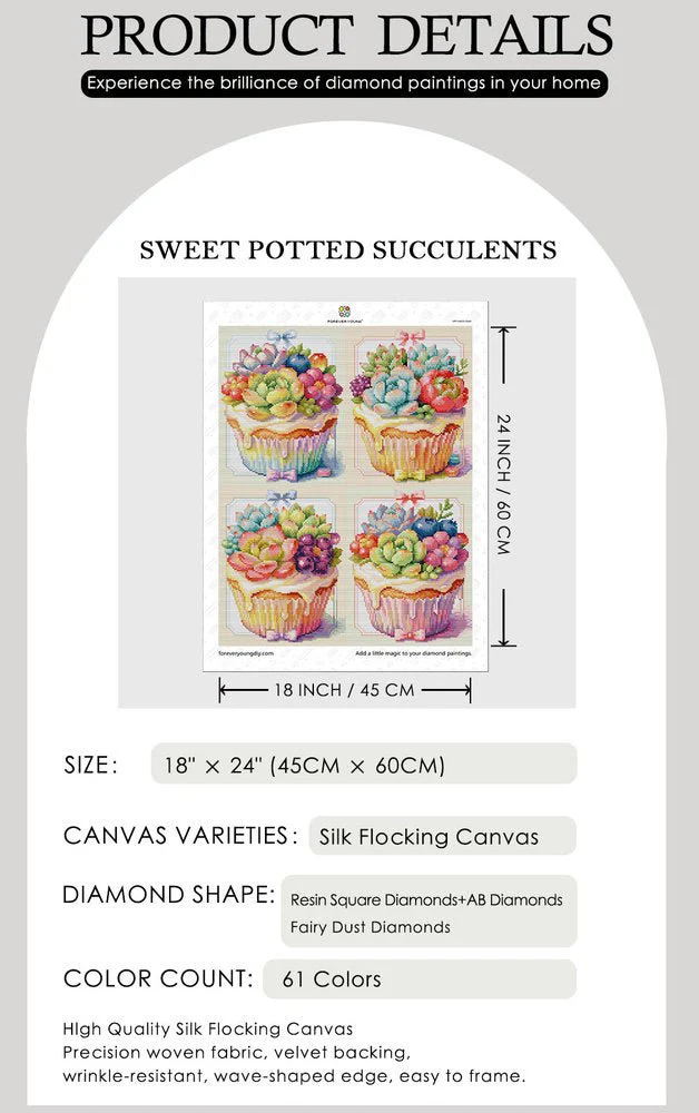 Sweet Potted Succulents - Image 3